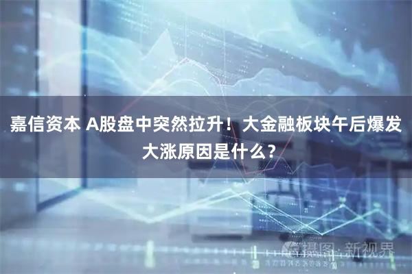 嘉信资本 A股盘中突然拉升！大金融板块午后爆发 大涨原因是什么？