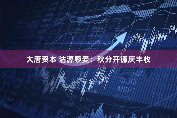 大唐资本 沽源藜麦：秋分开镰庆丰收