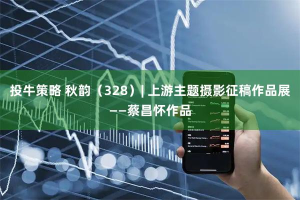 投牛策略 秋韵（328）| 上游主题摄影征稿作品展——蔡昌怀作品