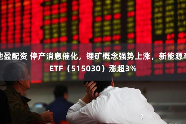 驰盈配资 停产消息催化，锂矿概念强势上涨，新能源车ETF（515030）涨超3%