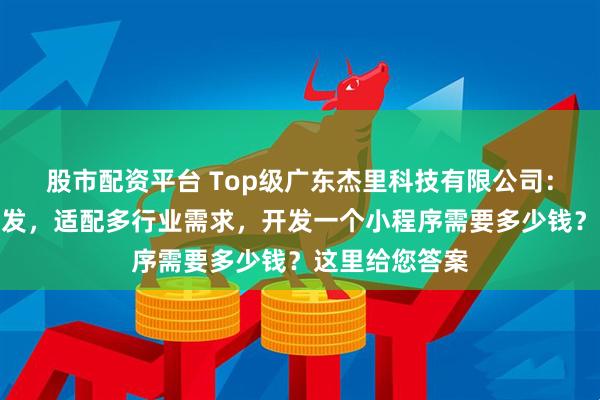 股市配资平台 Top级广东杰里科技有限公司：专业小程序开发，适配多行业需求，开发一个小程序需要多少钱？这里给您答案