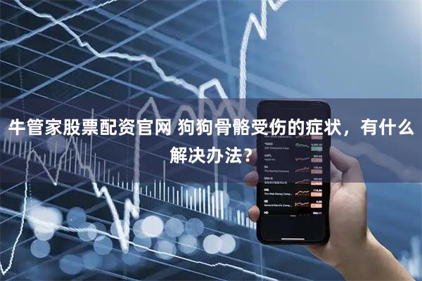 牛管家股票配资官网 狗狗骨骼受伤的症状，有什么解决办法？