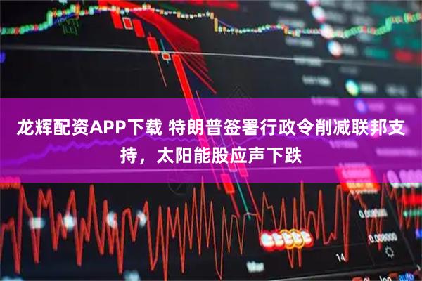 龙辉配资APP下载 特朗普签署行政令削减联邦支持，太阳能股应声下跌