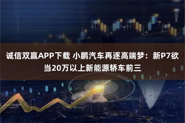 诚信双赢APP下载 小鹏汽车再逐高端梦：新P7欲当20万以上新能源轿车前三